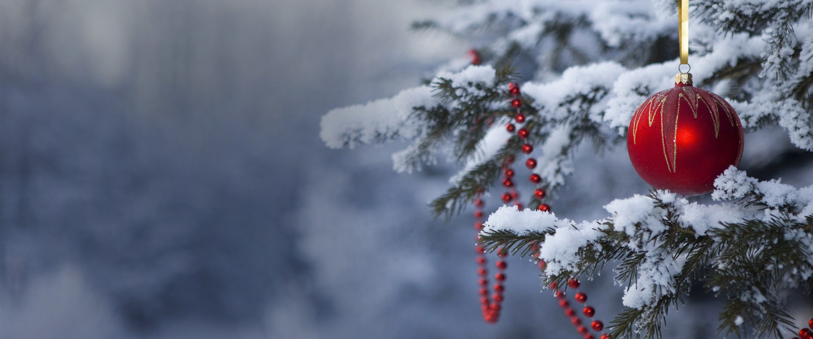 A wintery scene with a pine tree covered in snow with a shiny red bulb and beads hanging from it.